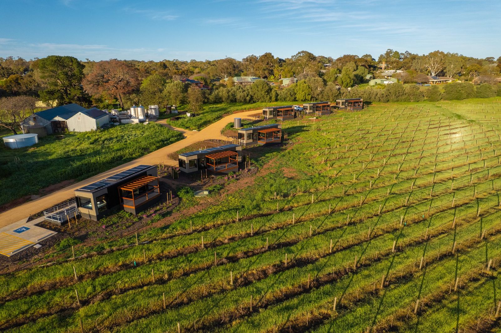 Aerial view of the AUTRA Lyndoch retreats following the contour of the Barossa vineyard rows