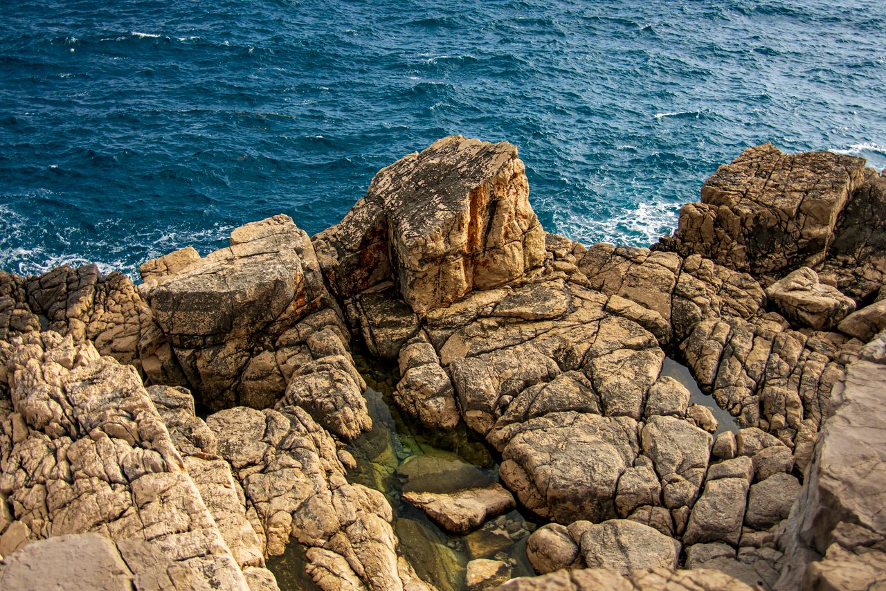 The Wild Coast